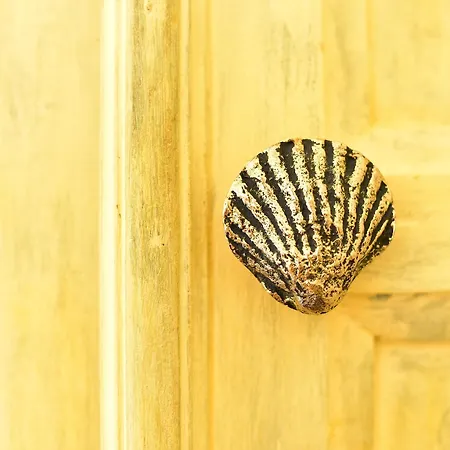 达利雅酒店 酒店 托雷拉