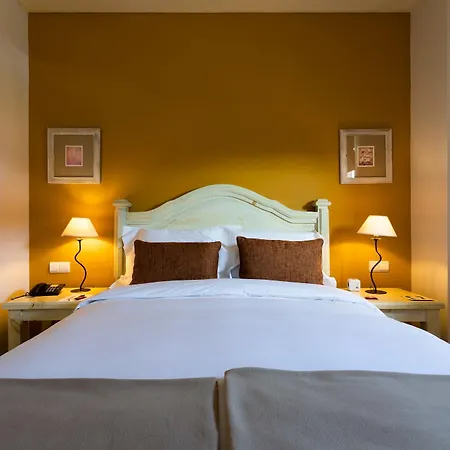Ria - Aveiro 호텔 4*