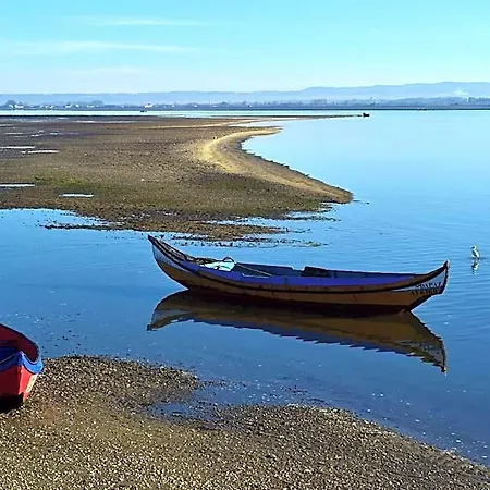 Ria - Aveiro 호텔