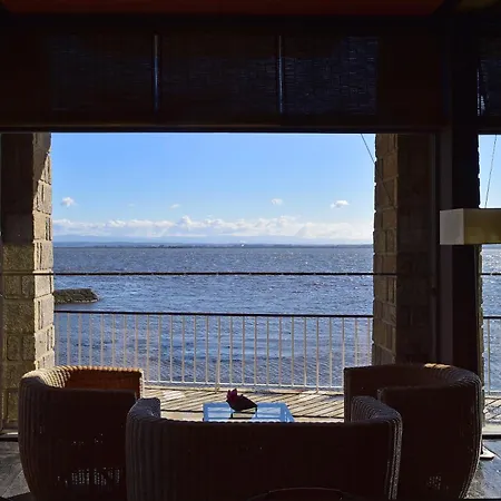 达利雅酒店 酒店 托雷拉